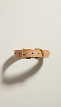 Sandstone Beige Dog Collar