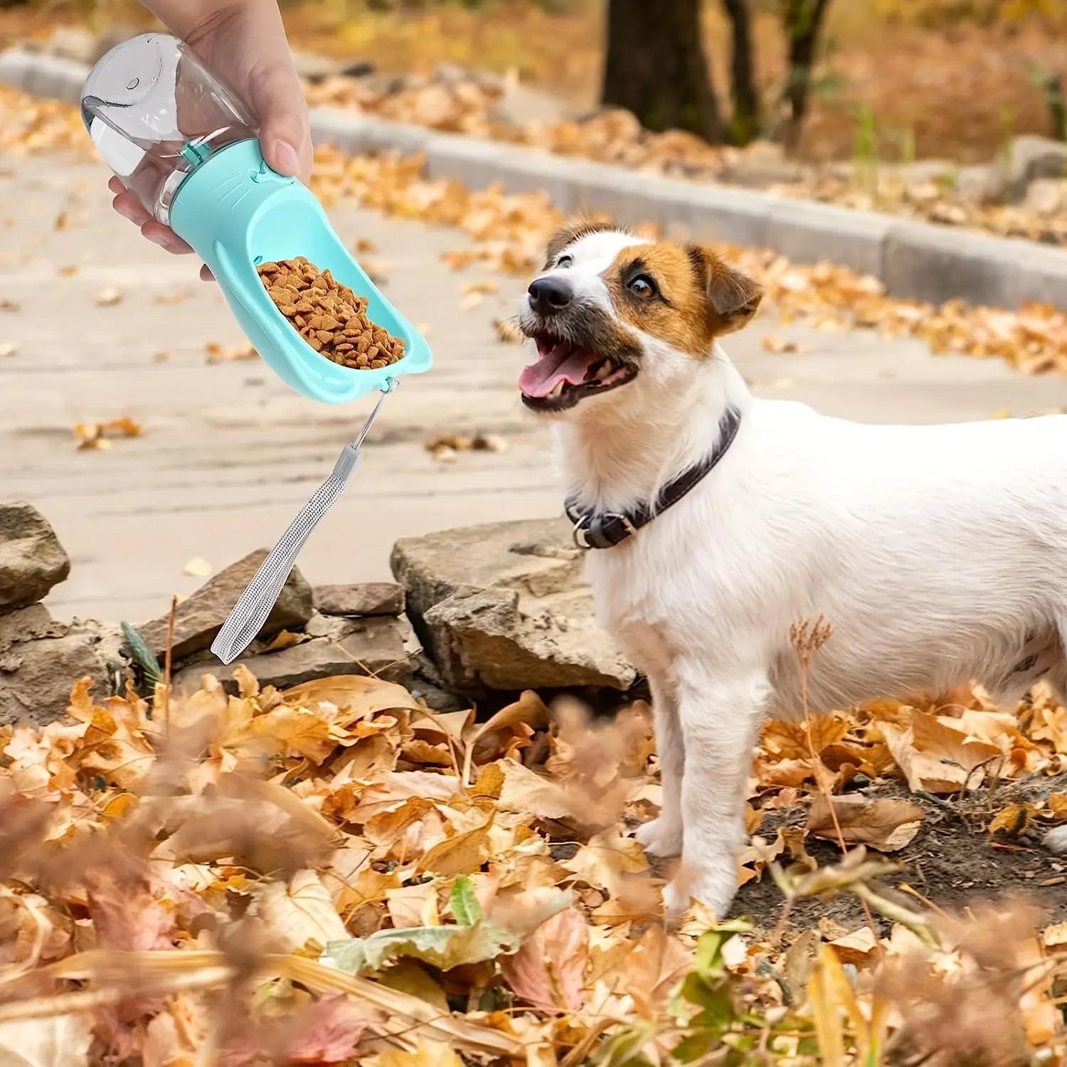 Portable Pet Water Bottle, 1 Count Pet Water Bottle with Food Container, Outdoor Multifunctional Water Bottle for Feeding Dogs & Cats