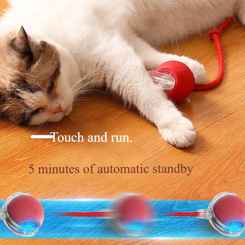USB Rechargeable Interactive Pet Ball Toy Self Rolling Interactive Cat Toy Ball USB Rechargeable Ball with LED Lights & Smart Sensors for Cats & Dogs Durable Pet-Safe Desig Automatic