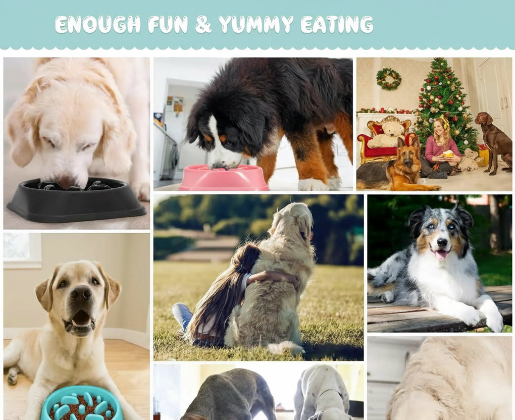 Slow Feeder Dog Bowl for Large Dogs, Food-Safe Material, Anti-Choke Puzzle Bowl